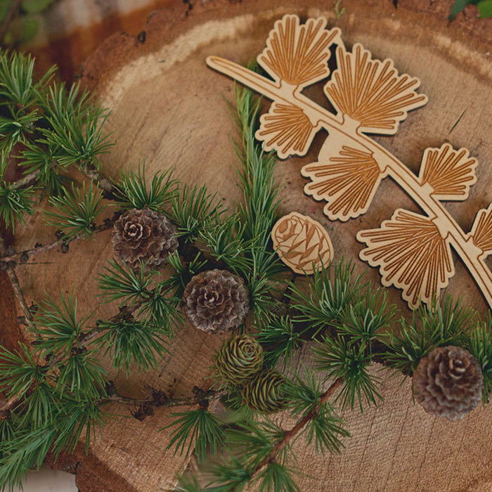 9 Montessori-Inspired Puzzles For Your Homeschool Science Lesson!