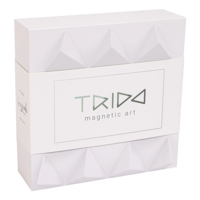 Magnetic Toys Trido Greyscale Small 6943478034327