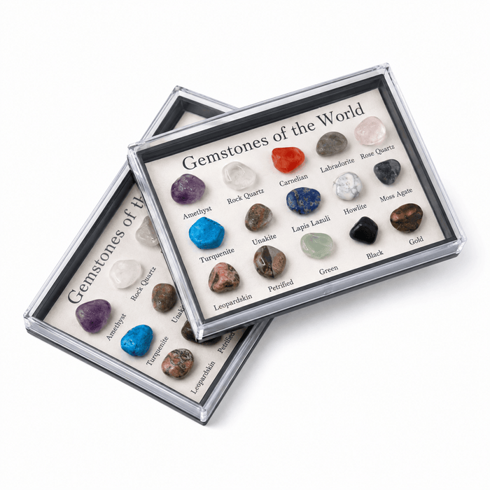 Rocks, Gems & Fossils British Fossils Mini Gem Box