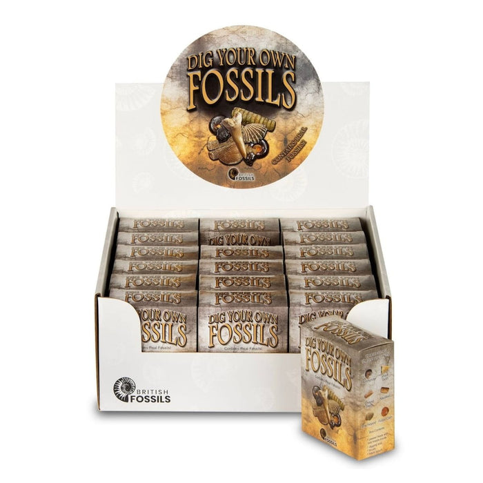 Rocks, Gems & Fossils Science & Nature Dig Your Own Fossils