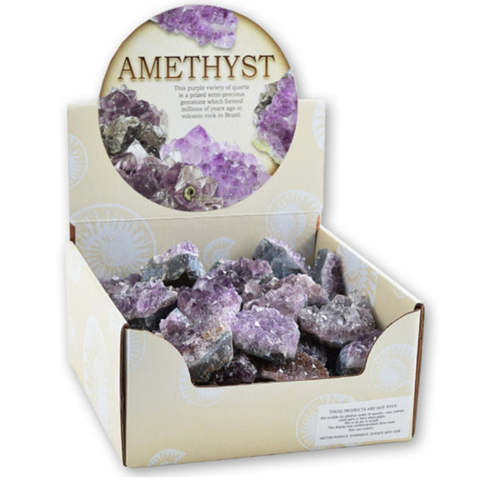 British Fossils Amethyst Cluster (Single Stone)