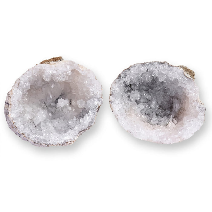 Rocks, Gems & Fossils British Fossils Break-Your-Own Geode