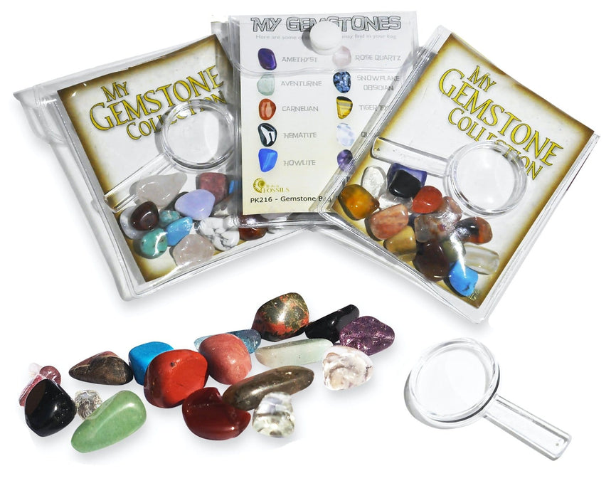 Rocks, Gems & Fossils British Fossils My Gemstone Collection
