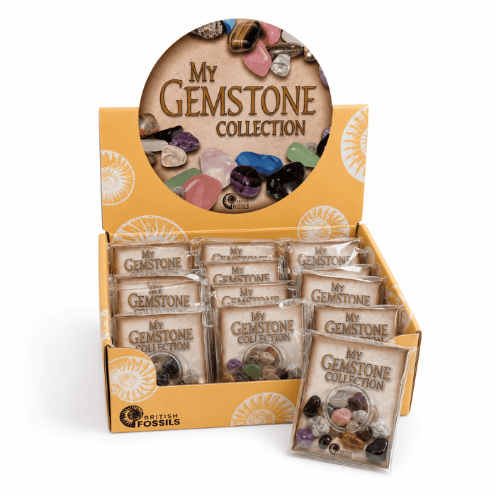 Rocks, Gems & Fossils British Fossils My Gemstone Collection