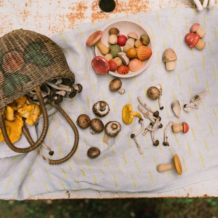 Grapat Mushroom Grove - Loose Parts Play - Toypark