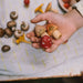 Loose Parts Grapat Mushroom Grove
