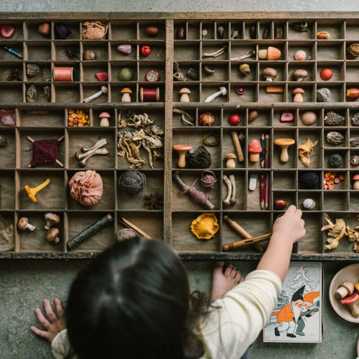 Grapat Mushroom Grove - Spanish Loose Parts - Toypark