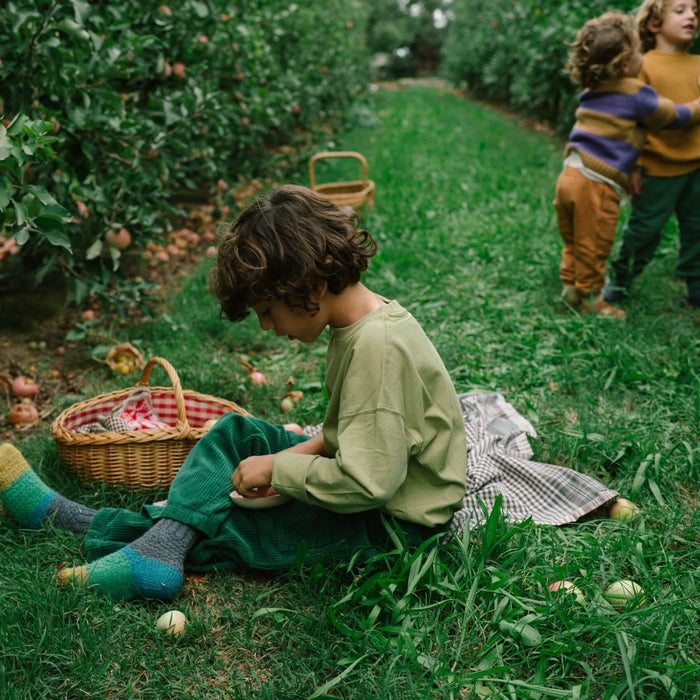 Grapat Fruits - Spanish Loose Parts - Toypark