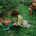 Grapat Fruits - Spanish Loose Parts - Toypark