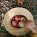 Grapat Mandala Half Spheres - Spanish Loose Parts - Toypark
