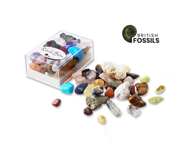 British Fossils