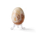 Rocks, Gems & Fossils British Fossils Marble Egg & Stand Set (Random)