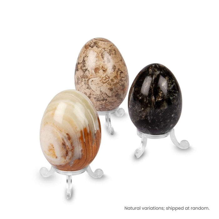 Rocks, Gems & Fossils British Fossils Marble Egg & Stand Set (Random)