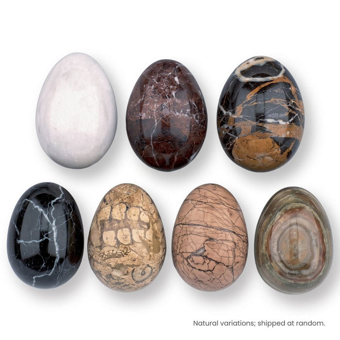 Rocks, Gems & Fossils British Fossils Marble Egg & Stand Set (Random)