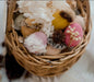 Activity Toys QToys DIY Wooden Eggs (set of 12)