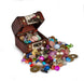 Rocks, Gems & Fossils Science & Nature Pirate Treasure Chest