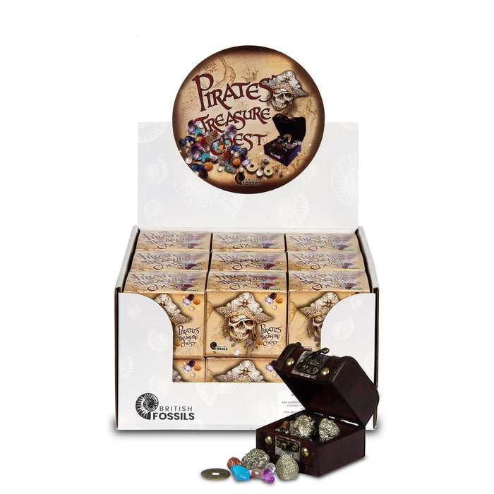 Rocks, Gems & Fossils Science & Nature Pirate Treasure Chest