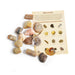 Rocks, Gems & Fossils British Fossils Fossil Collection Box