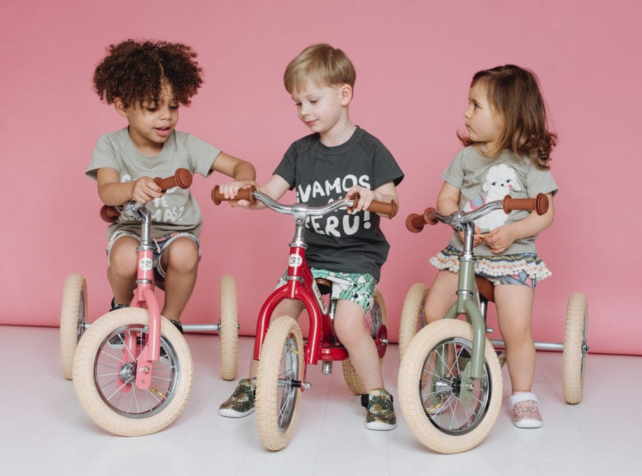 Balance Bike Trybike 2 in 1 Vintage Steel Balance Bike - Pink 8719189161434