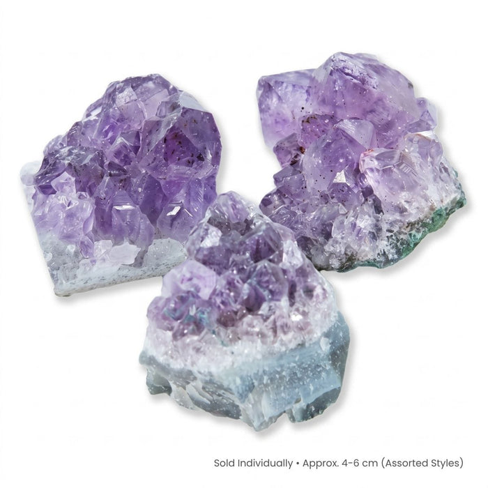Rocks, Gems & Fossils British Fossils Amethyst Cluster (Single Stone)