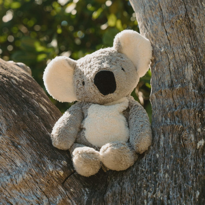 Stuffed Toys SENGER Cuddly Animal - Koala - Australian Exclusive - Removable Heat/Cool Pack (Available by 13 August)