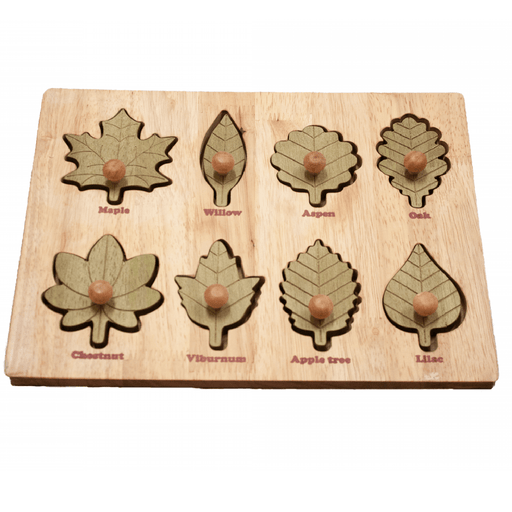 Wooden Puzzles QToys Montessori Leaf Puzzle