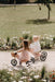 Kids Bikes Kinderfeets 2-IN-1 Tiny Tot Plus Tricycle & Balance Bike-Rose
