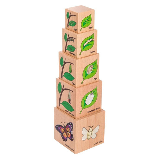 Wooden Toys The Freckled Frog Lifecycle Wooden Blocks