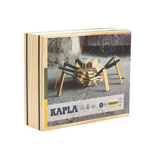 Wooden Building Blocks Kapla Spider Case