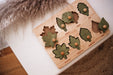 Wooden Toys QToys Montessori Leaf Puzzle