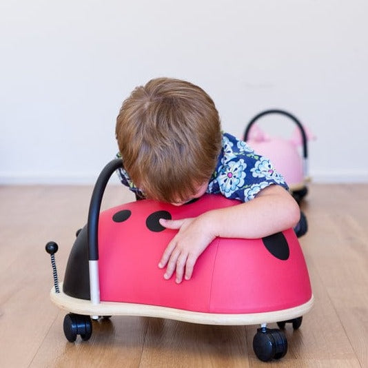 Wheely Bug - Large Ladybug (Gebraucht) in Dübendorf für CHF 25 - mit Wheely Bug - Large Ladybug (Gebraucht) in Dübendorf für CHF 25 - mit