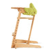 High Chair My Duckling Wooden Adjustable Toddler Dining Chair with Cushion and Tray