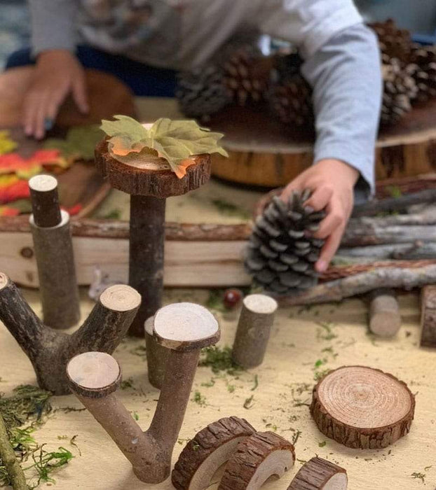 Guidecraft Branch Blocks — Toypark Australia