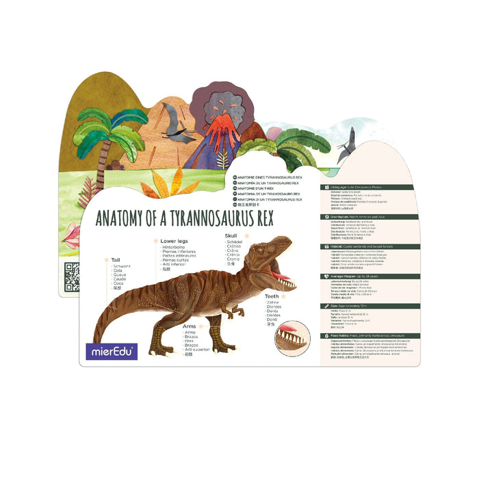 Puzzles mierEdu 3D Puzzles Tyrannosaurus Rex
