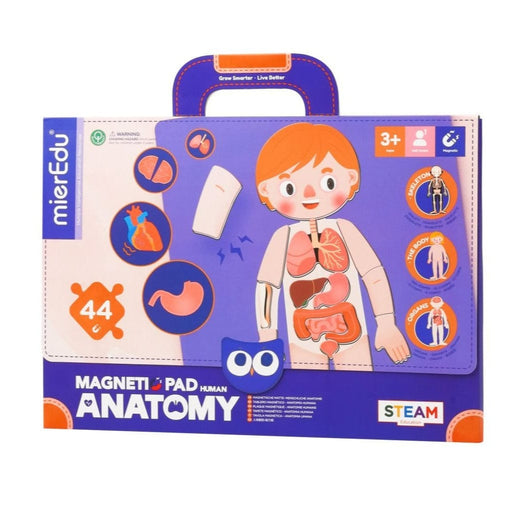 Puzzles mierEdu Magnetic Pad - Anatomy