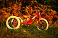 Balance Bike Trybike 2 in 1 Red Vintage Steel Bike