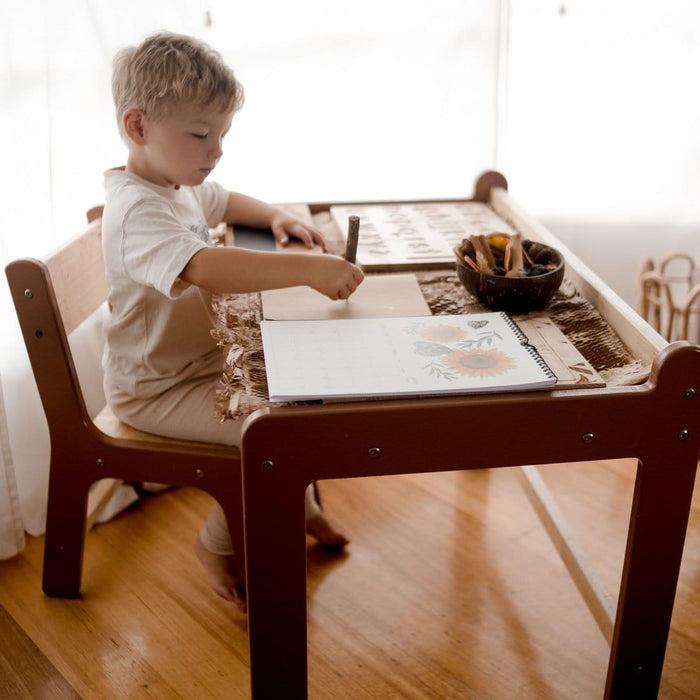 Kids Furniture QToys Child Study Desk Set